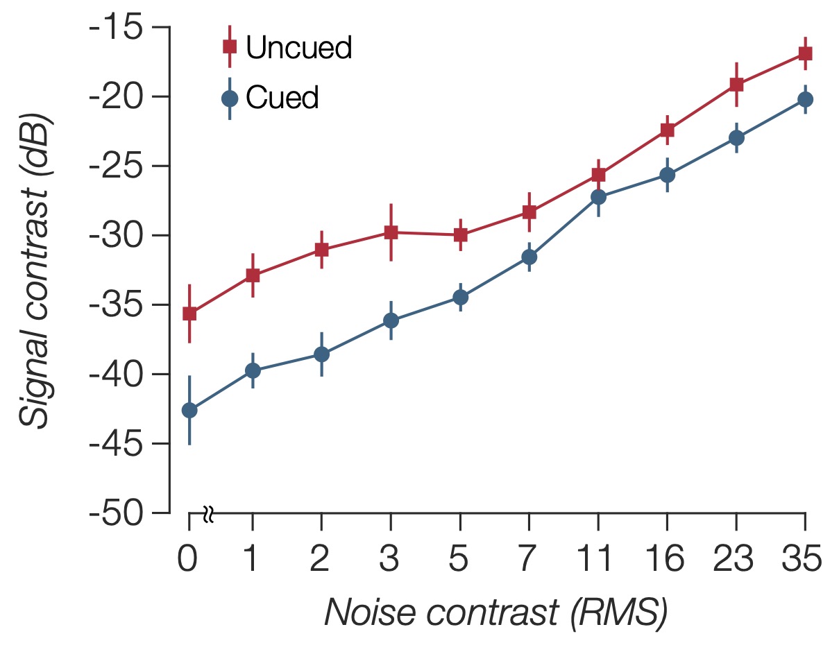 Temporal Attention Figure